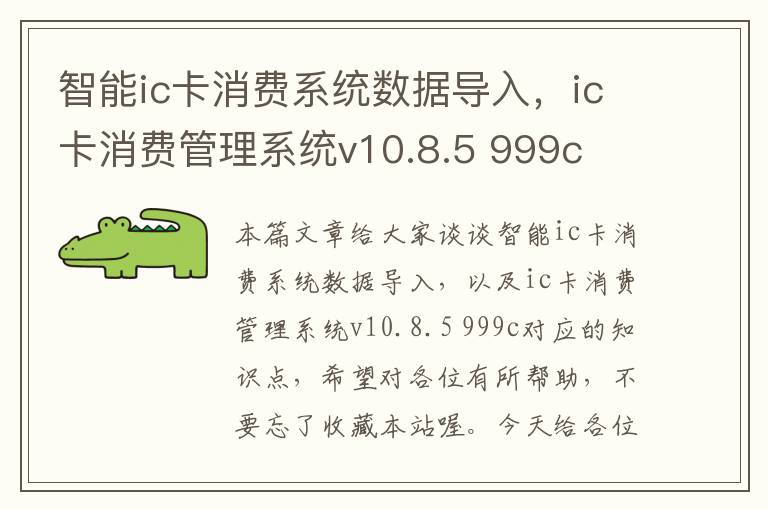 智能ic卡消费系统数据导入，ic卡消费管理系统v10.8.5 999c