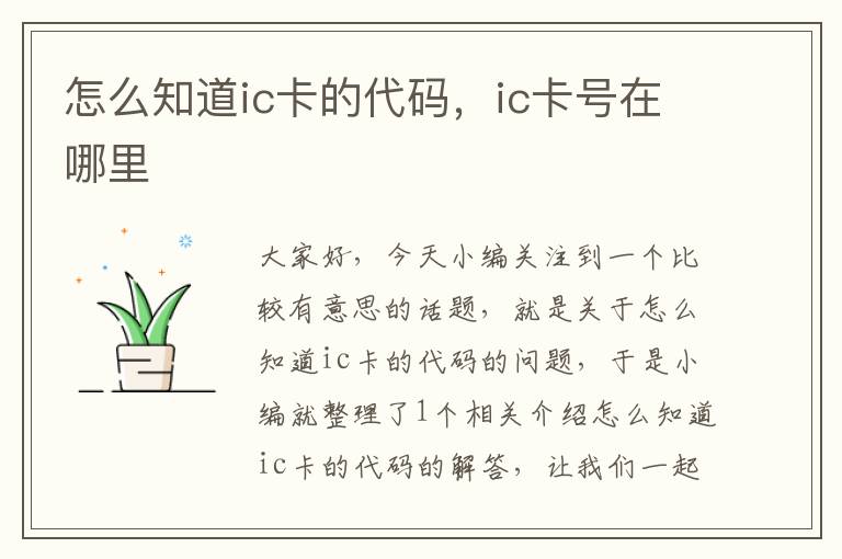 怎么知道ic卡的代码，ic卡号在哪里