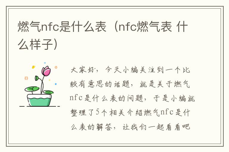 燃气nfc是什么表（nfc燃气表 什么样子）