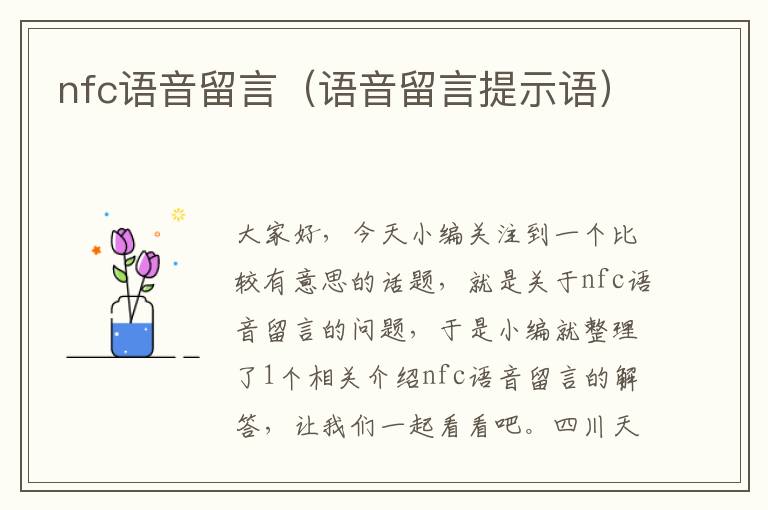 nfc语音留言（语音留言提示语）