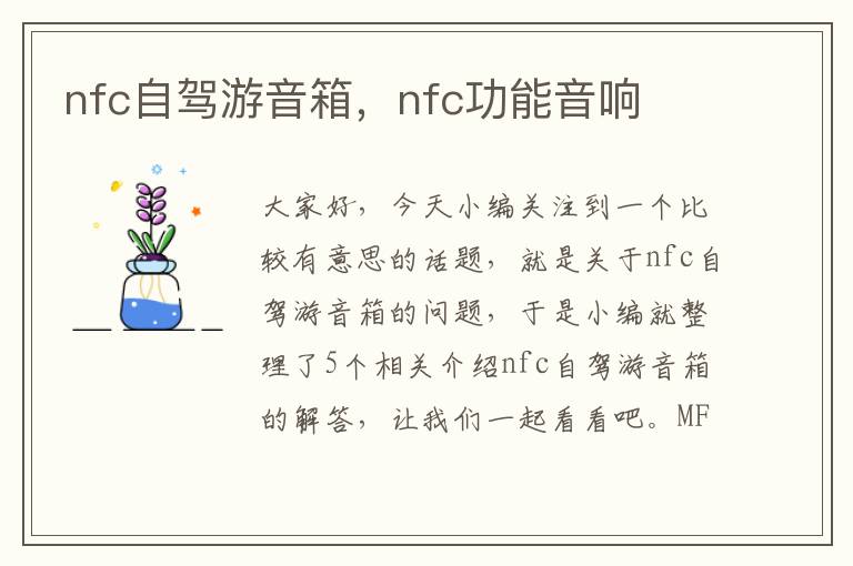 nfc自驾游音箱，nfc功能音响