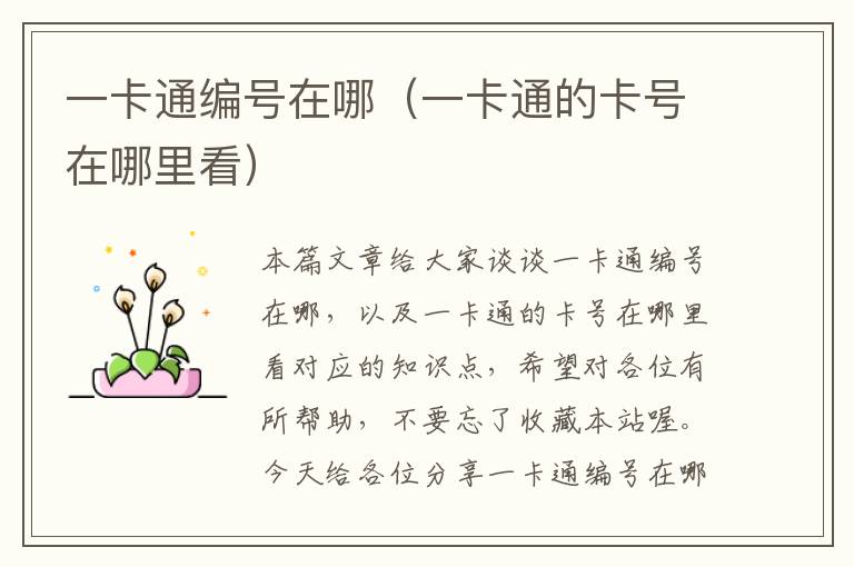 一卡通编号在哪（一卡通的卡号在哪里看）