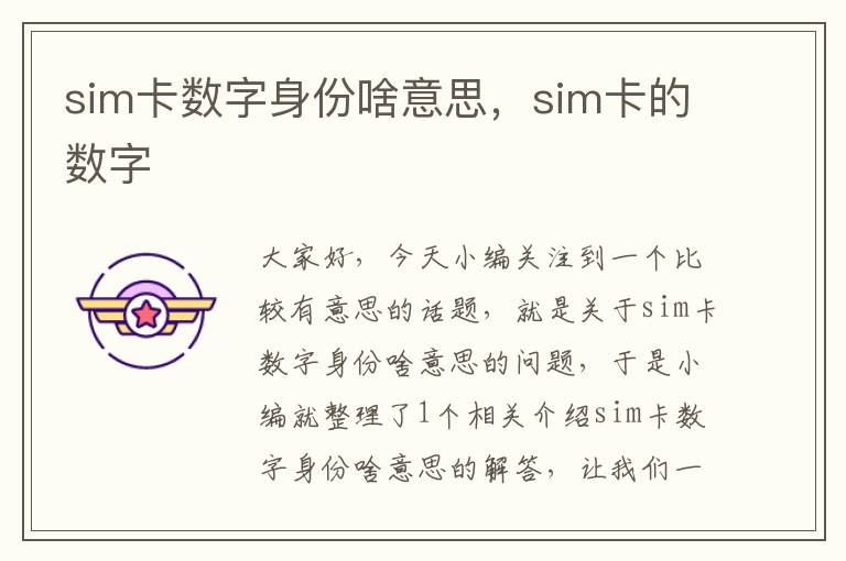 sim卡数字身份啥意思，sim卡的数字