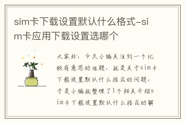 sim卡下载设置默认什么格式-sim卡应用下载设置选哪个