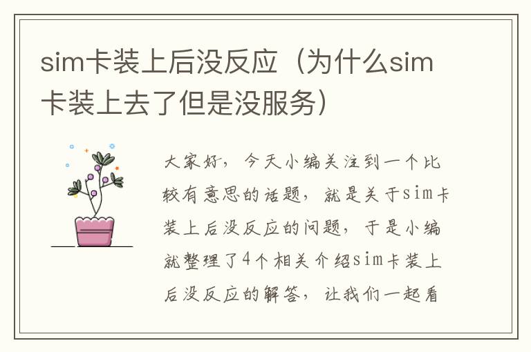 sim卡装上后没反应（为什么sim卡装上去了但是没服务）