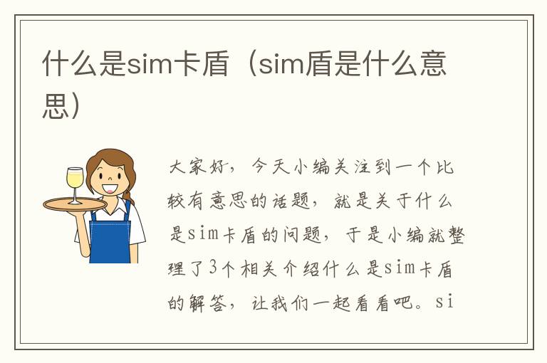 什么是sim卡盾（sim盾是什么意思）