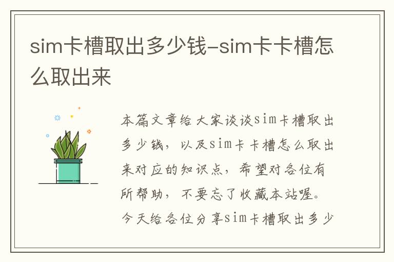 sim卡槽取出多少钱-sim卡卡槽怎么取出来