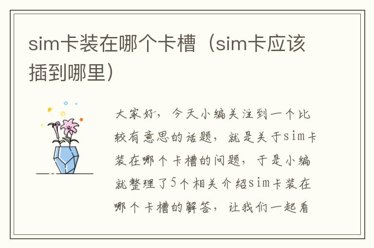 sim卡装在哪个卡槽（sim卡应该插到哪里）