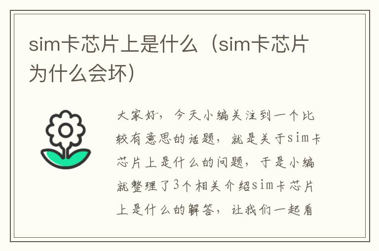 sim卡芯片上是什么（sim卡芯片为什么会坏）