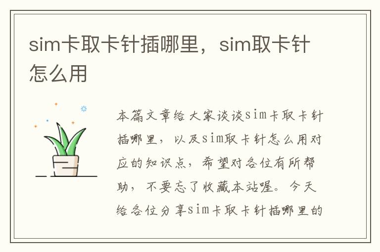 sim卡取卡针插哪里，sim取卡针怎么用