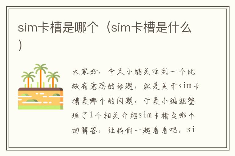 sim卡槽是哪个（sim卡槽是什么）