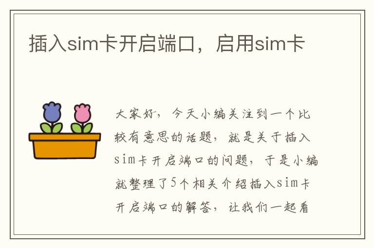 插入sim卡开启端口，启用sim卡