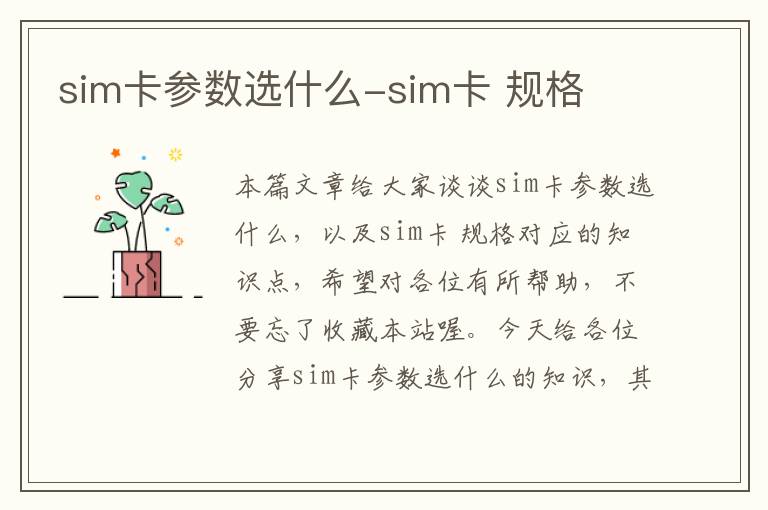 sim卡参数选什么-sim卡 规格