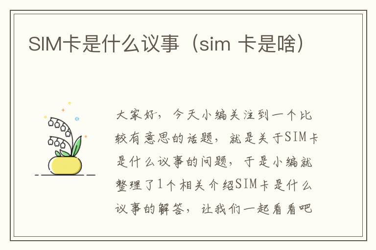 SIM卡是什么议事（sim 卡是啥）