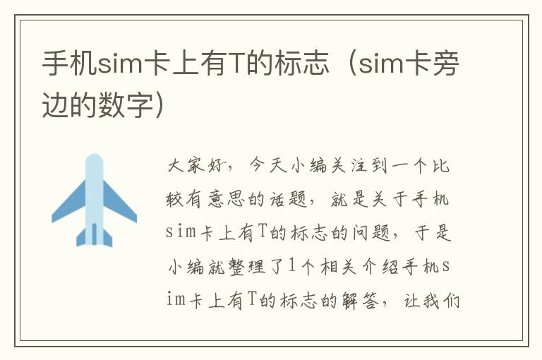 手机sim卡上有T的标志（sim卡旁边的数字）