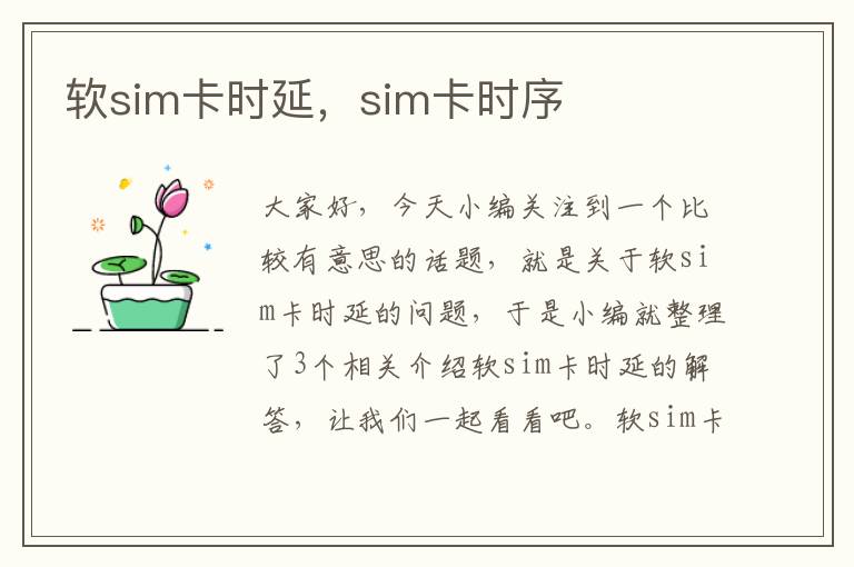 软sim卡时延，sim卡时序