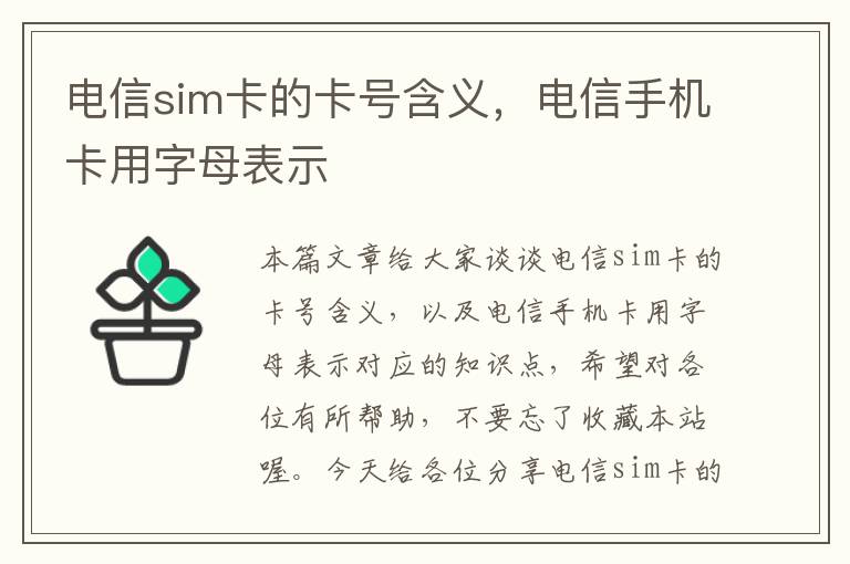 电信sim卡的卡号含义，电信手机卡用字母表示