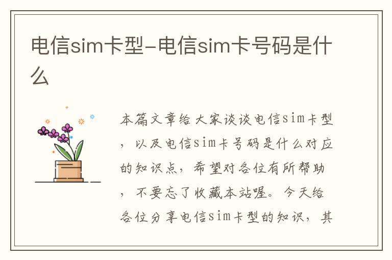 电信sim卡型-电信sim卡号码是什么