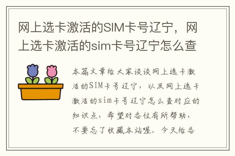 网上选卡激活的SIM卡号辽宁，网上选卡激活的sim卡号辽宁怎么查