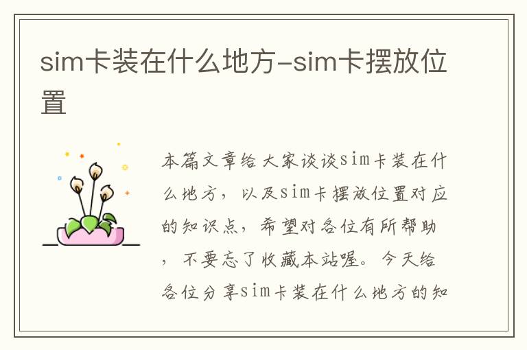 sim卡装在什么地方-sim卡摆放位置