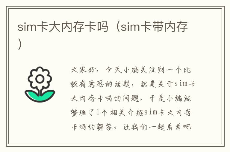 sim卡大内存卡吗（sim卡带内存）