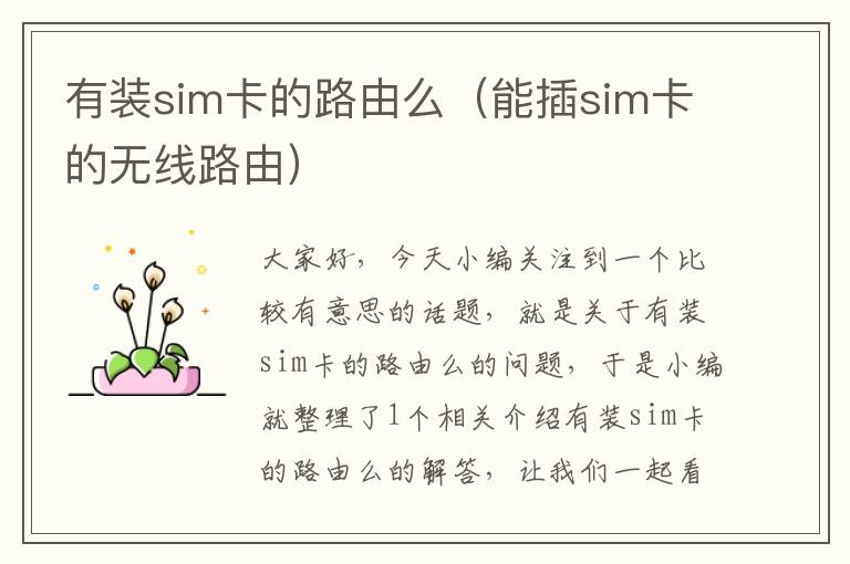 有装sim卡的路由么（能插sim卡的无线路由）