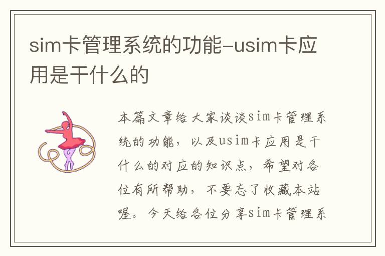 sim卡管理系统的功能-usim卡应用是干什么的