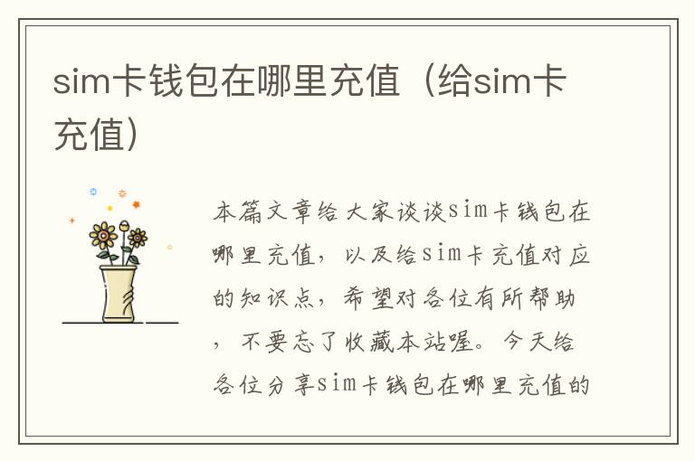 sim卡钱包在哪里充值（给sim卡充值）