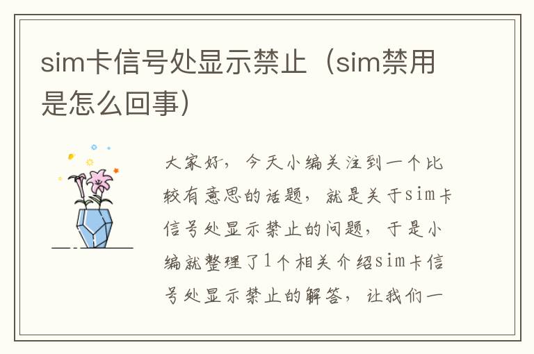 sim卡信号处显示禁止（sim禁用是怎么回事）