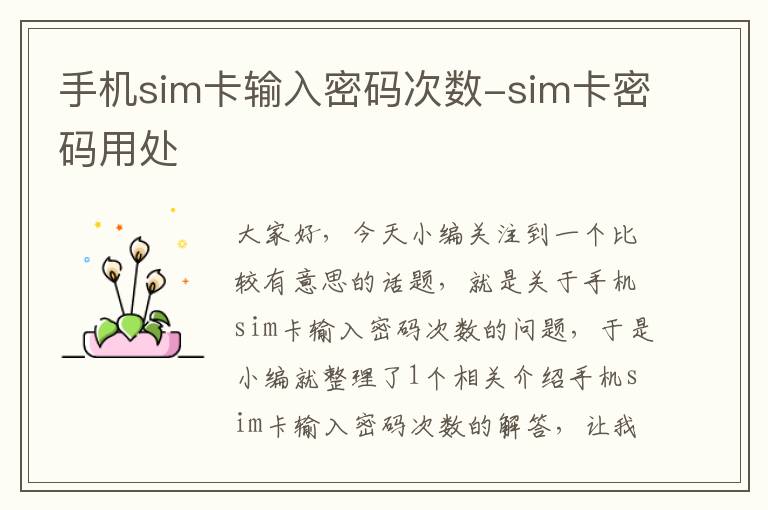 手机sim卡输入密码次数-sim卡密码用处