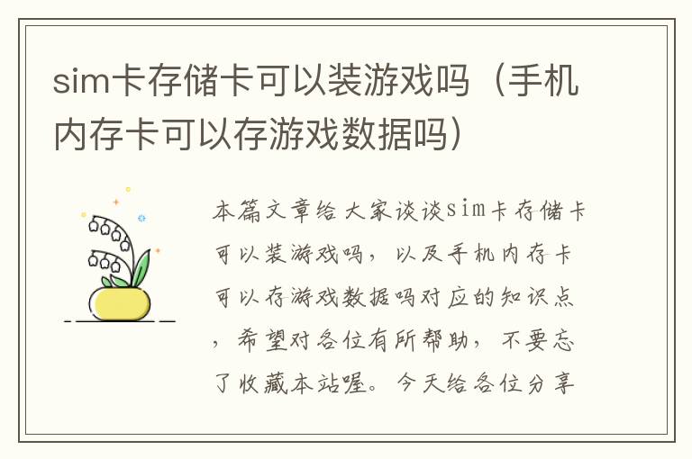 sim卡存储卡可以装游戏吗（手机内存卡可以存游戏数据吗）