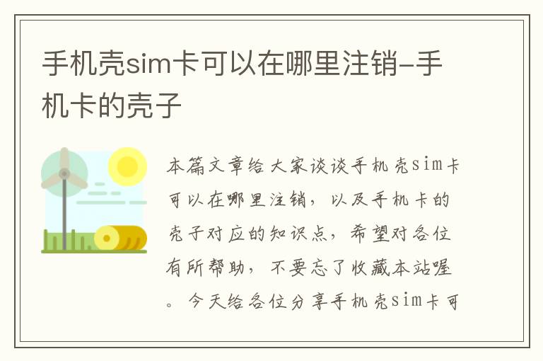 手机壳sim卡可以在哪里注销-手机卡的壳子