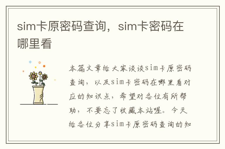 sim卡原密码查询，sim卡密码在哪里看