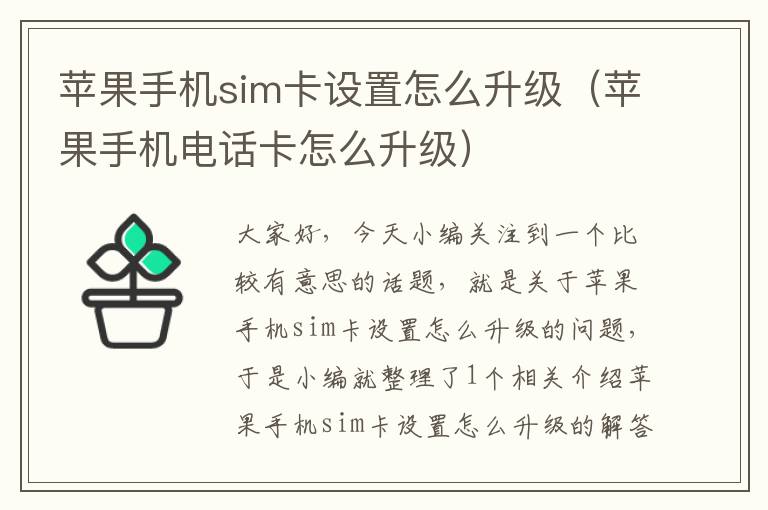 苹果手机sim卡设置怎么升级（苹果手机电话卡怎么升级）