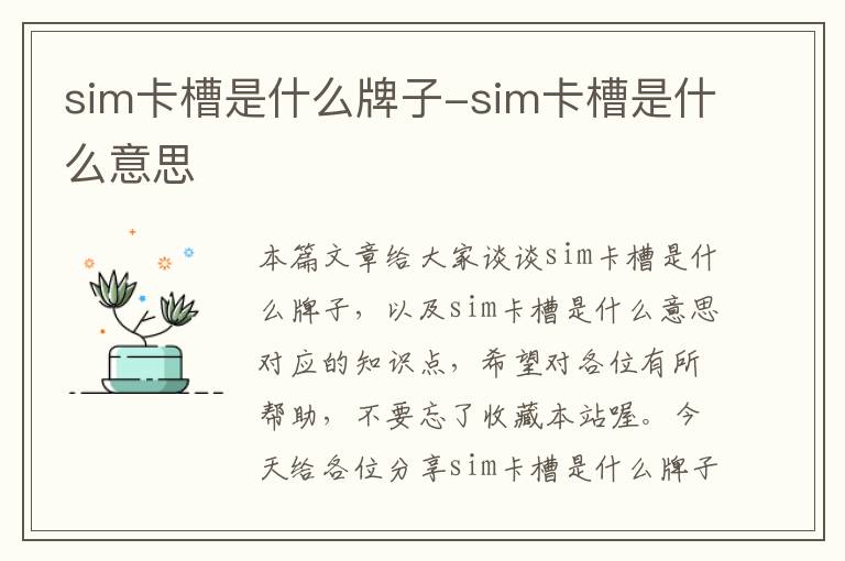 sim卡槽是什么牌子-sim卡槽是什么意思