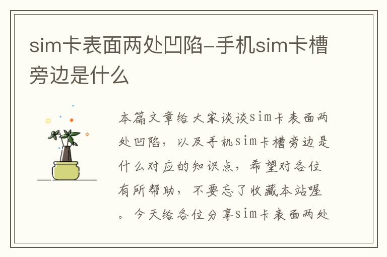 sim卡表面两处凹陷-手机sim卡槽旁边是什么