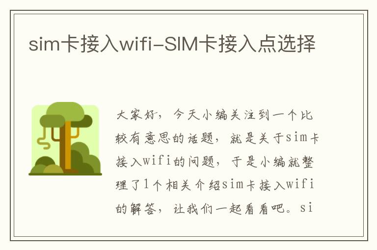 sim卡接入wifi-SIM卡接入点选择