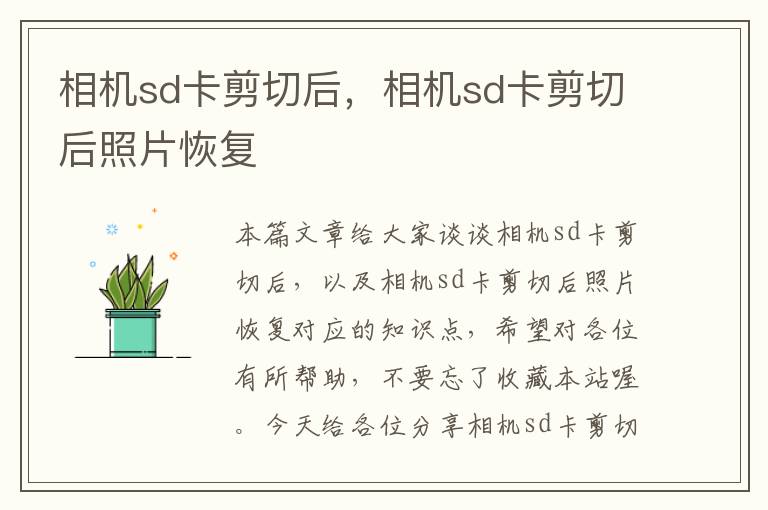 相机sd卡剪切后，相机sd卡剪切后照片恢复