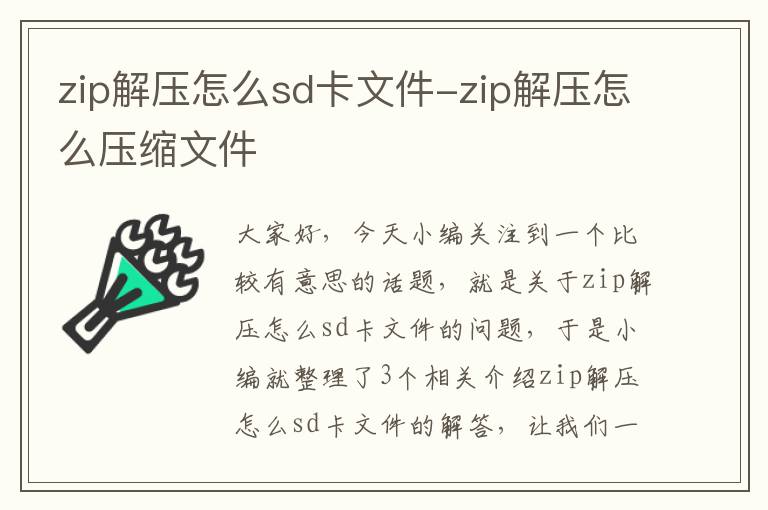 zip解压怎么sd卡文件-zip解压怎么压缩文件