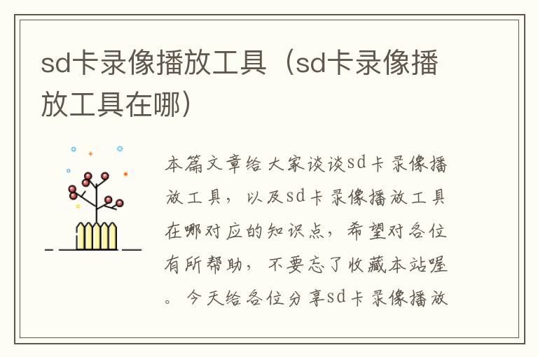 sd卡录像播放工具（sd卡录像播放工具在哪）