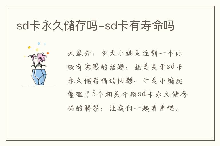 sd卡永久储存吗-sd卡有寿命吗