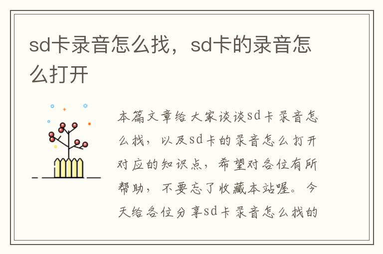 sd卡录音怎么找，sd卡的录音怎么打开