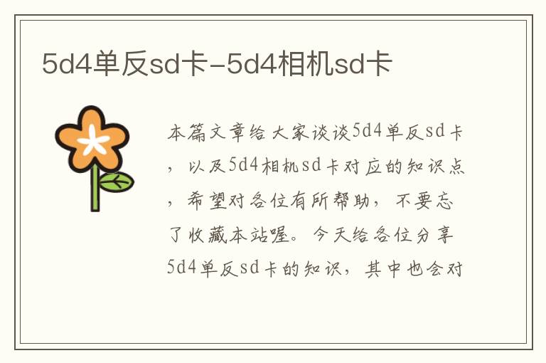 5d4单反sd卡-5d4相机sd卡