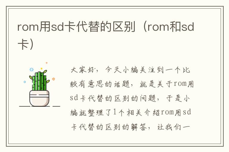 rom用sd卡代替的区别（rom和sd卡）