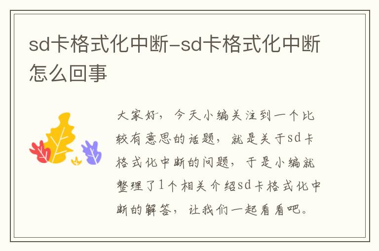 sd卡格式化中断-sd卡格式化中断怎么回事