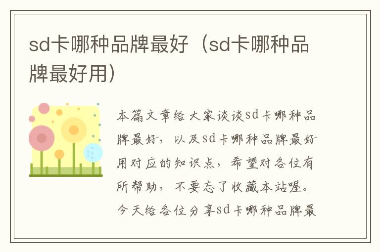 sd卡哪种品牌最好（sd卡哪种品牌最好用）