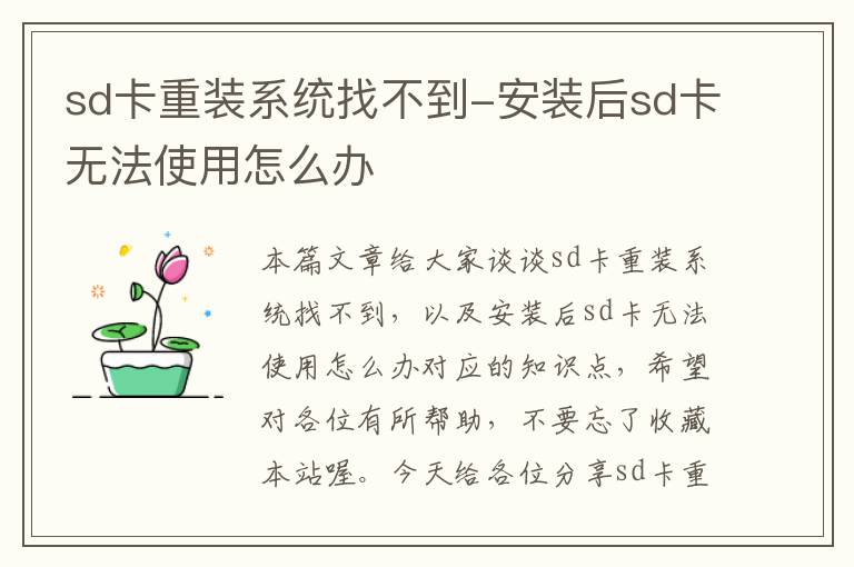 sd卡重装系统找不到-安装后sd卡无法使用怎么办