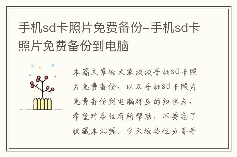 手机sd卡照片免费备份-手机sd卡照片免费备份到电脑