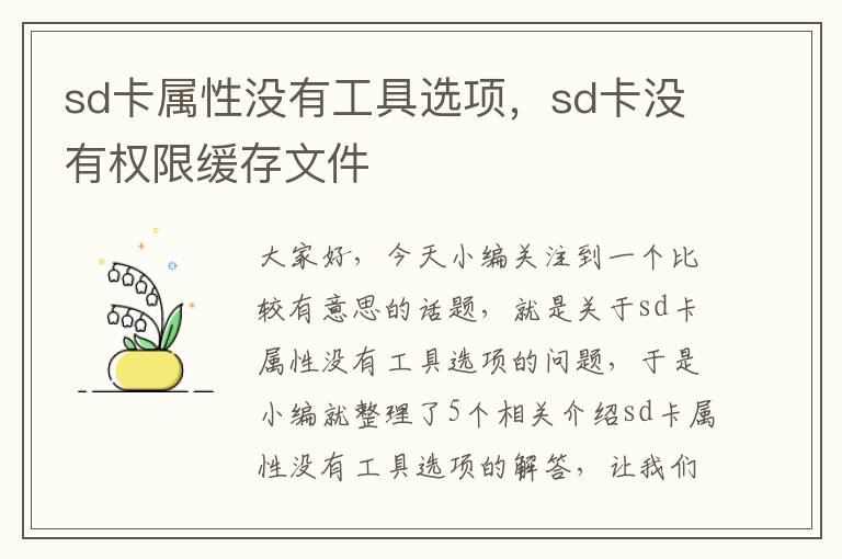 sd卡属性没有工具选项，sd卡没有权限缓存文件