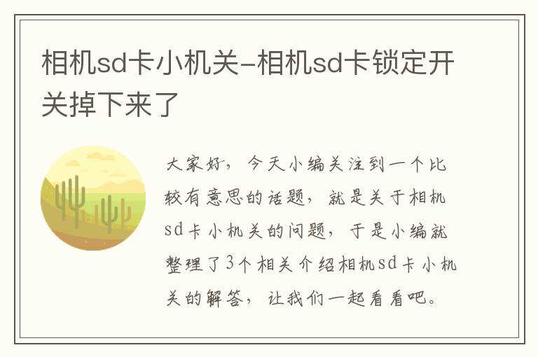 相机sd卡小机关-相机sd卡锁定开关掉下来了